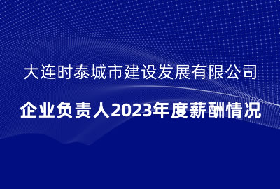 大連時泰城市建設發(fā)展有限公司 企業(yè)負責人2023年度薪酬情況